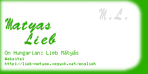 matyas lieb business card